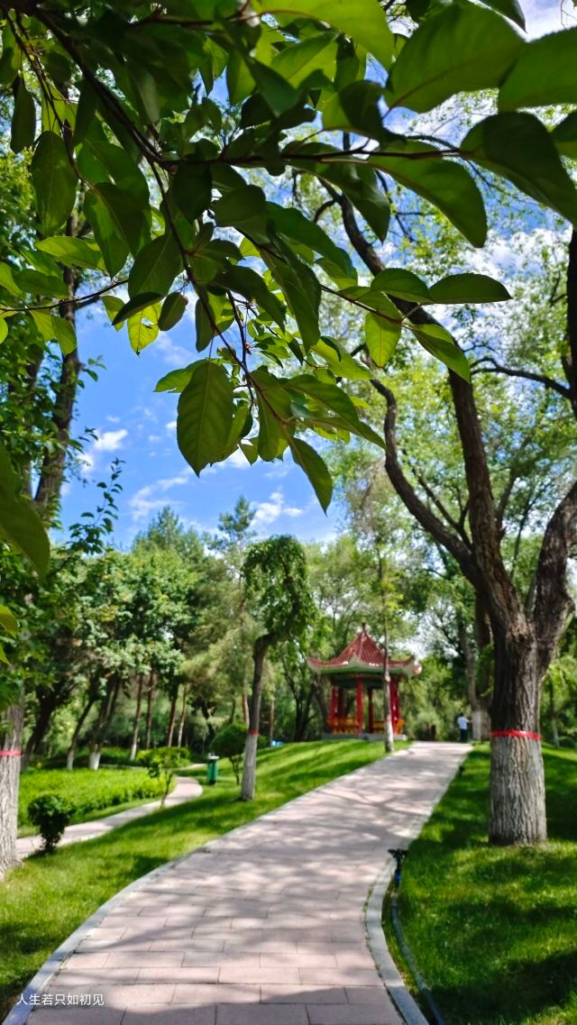 西公园旅行图片 1