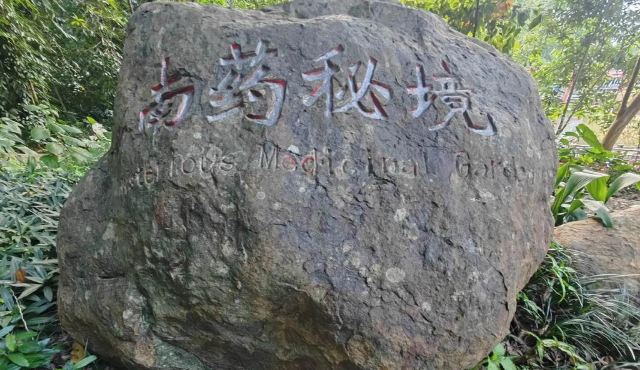 西双版纳南药园旅行图片 14