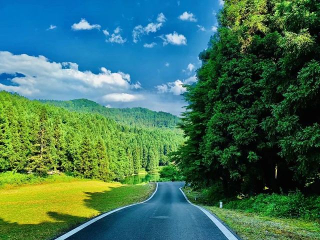 武陵山国家森林公园旅行图片 1