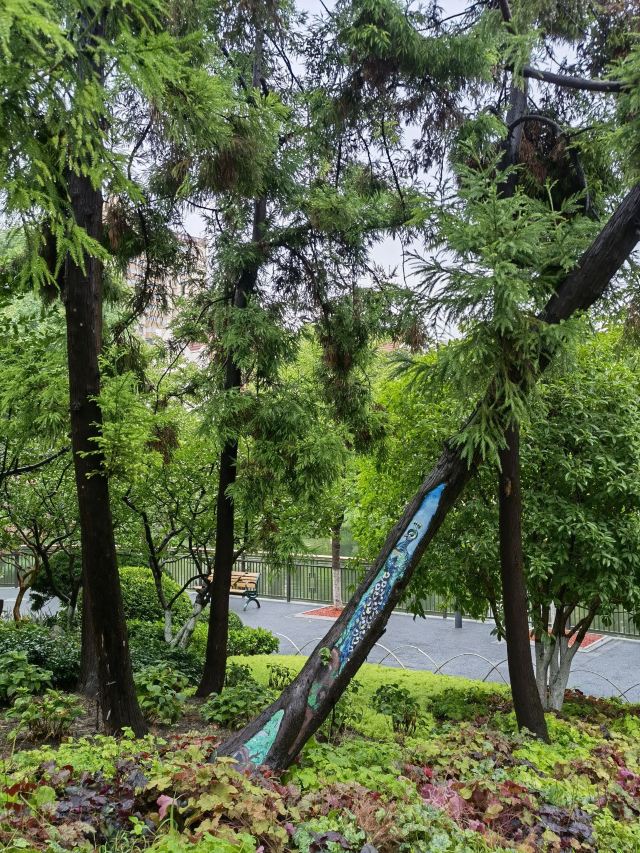 闸北公园旅行图片 10