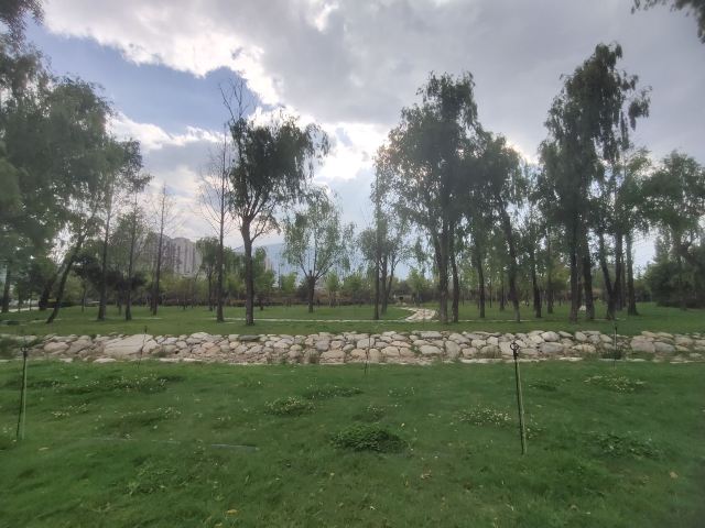 洱海月湿地公园旅行图片 14