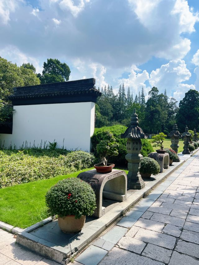 亭林园旅行图片 7
