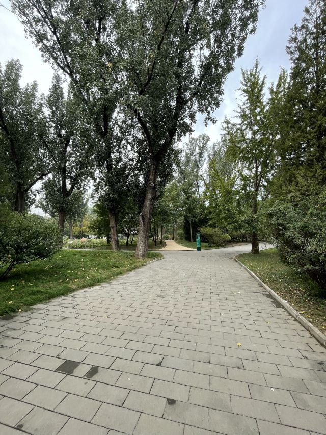 千灵山旅行图片 1