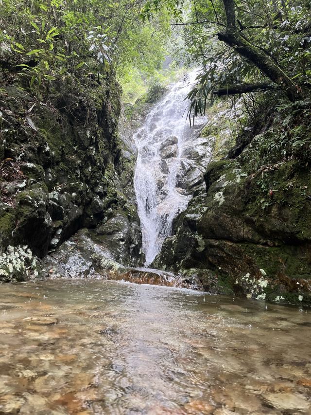 箬寮原始森林旅行图片 5