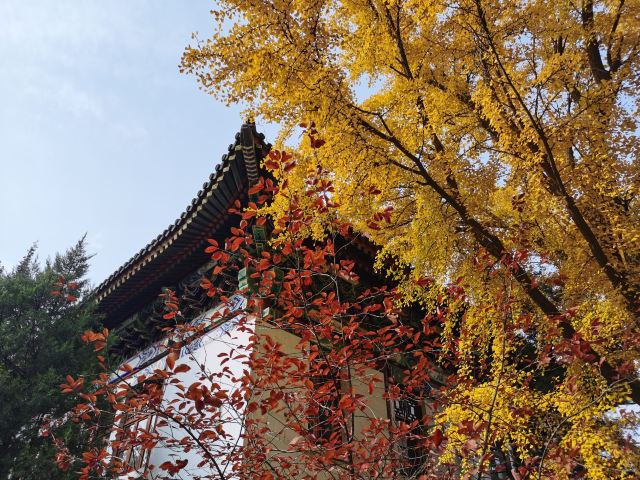 未名湖旅行图片 6
