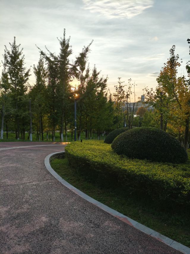 宁湖公园旅行图片 4