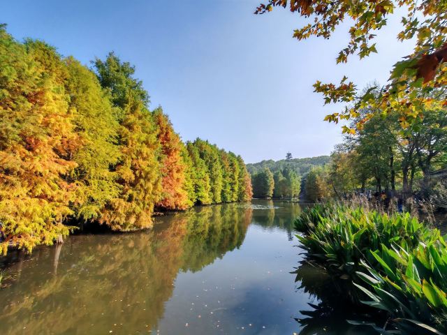 南京小九寨沟旅行图片 5