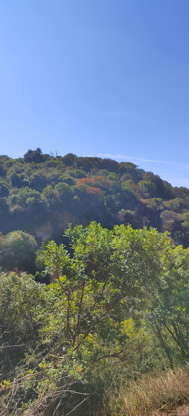 小石桥风景区旅行图片 1