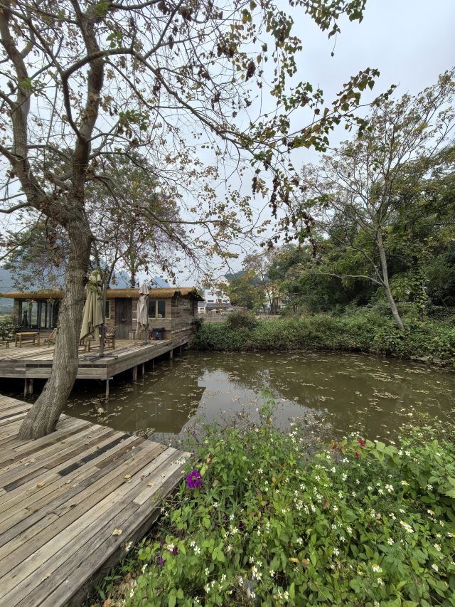 遇龙河景区旅行图片 2