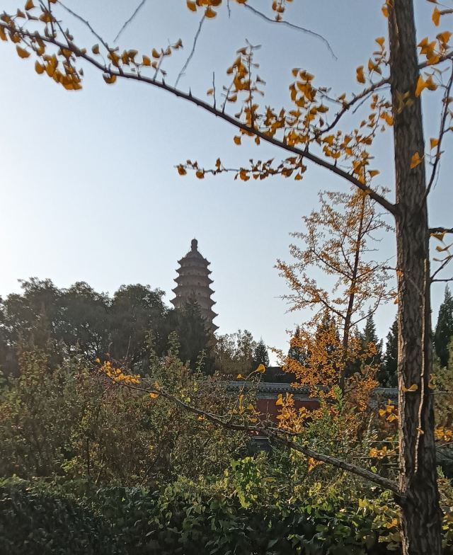 双塔公园旅行图片 6