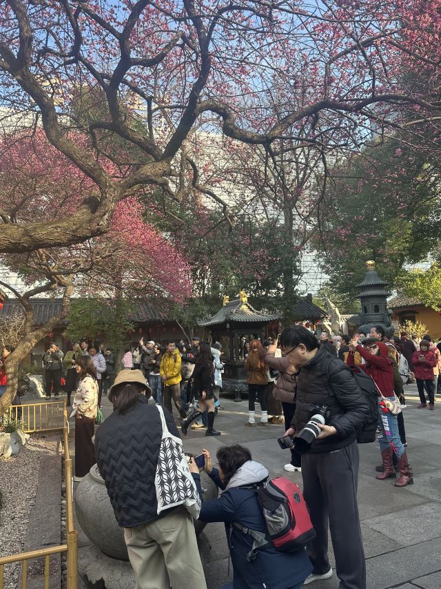 湖州铁佛寺旅行图片 3