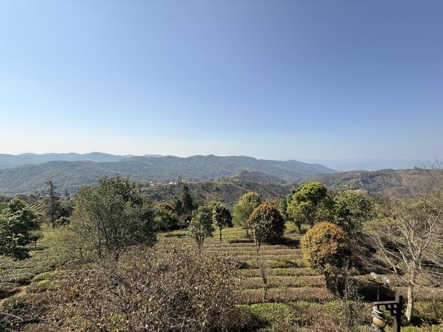 中华普洱茶博览苑旅行图片 4