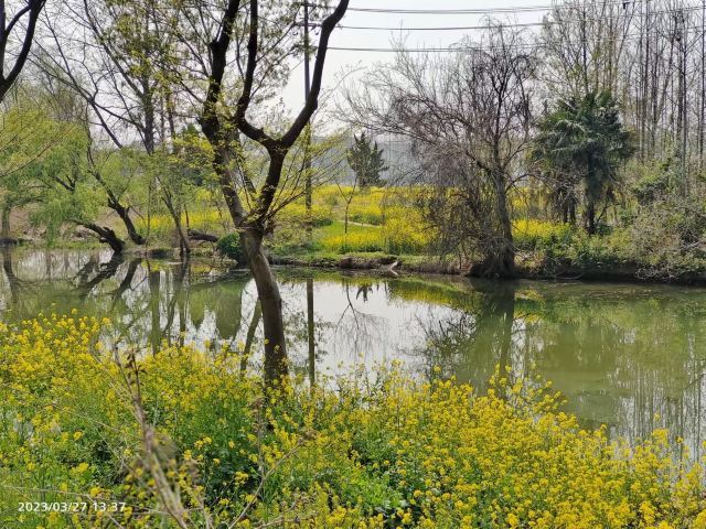 瓜洲古渡公园旅行图片 11