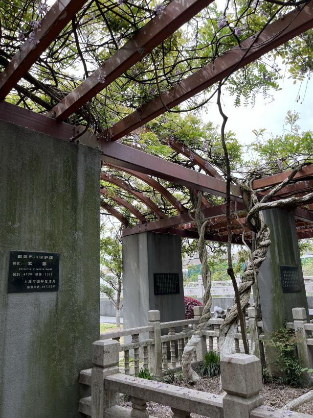 古藤园旅行图片 2