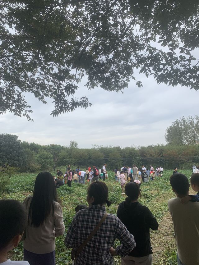 南京森林大世界旅行图片 3