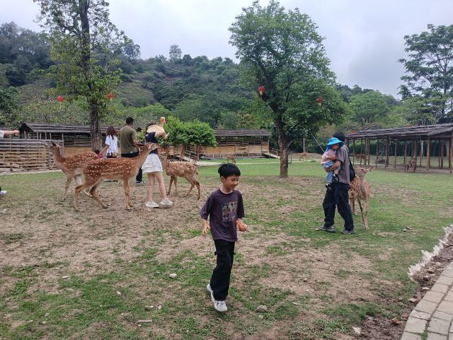 岭南大地百草园旅行图片 1
