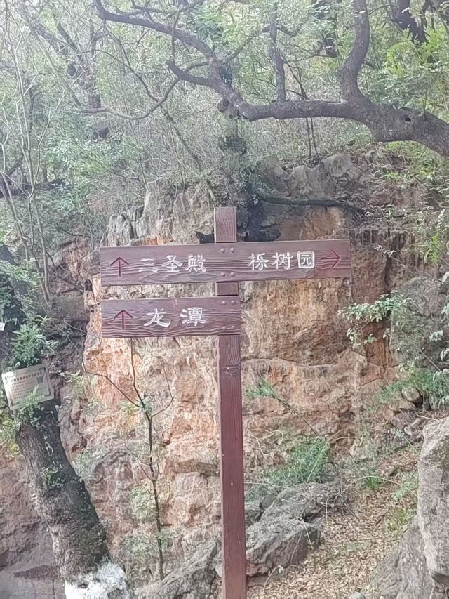 玉溪九龙池古建筑群-九龙宫旅行图片 1