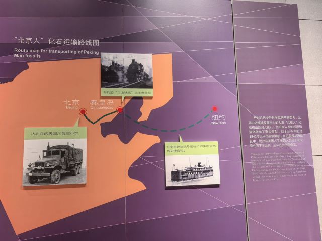 周口店遗址博物馆旅行图片 4