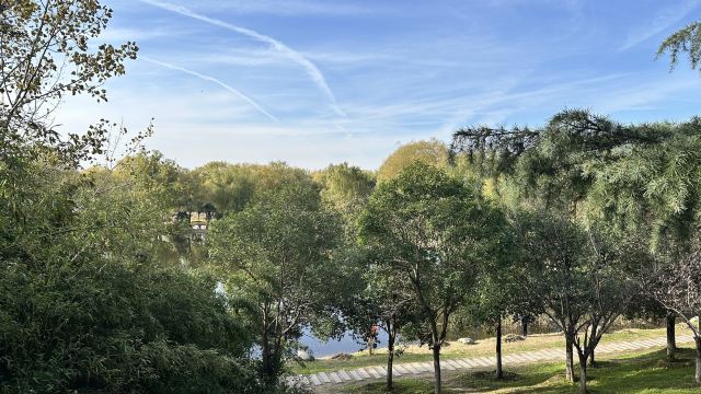 西安浐灞国家湿地公园旅行图片 5