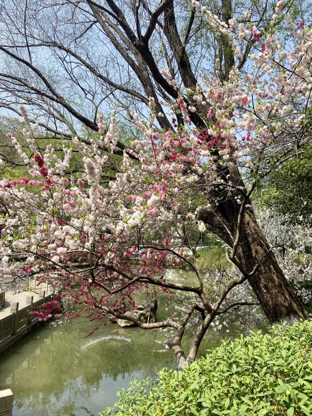 南山风景区旅行图片 3