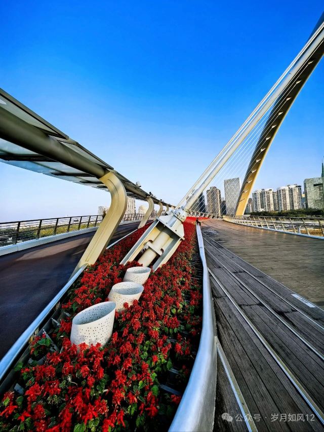 海心桥旅行图片 2
