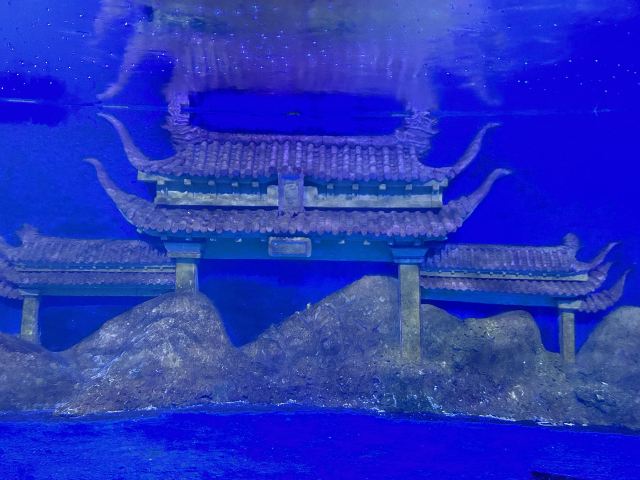 秦皇岛新澳海底世界旅行图片 3