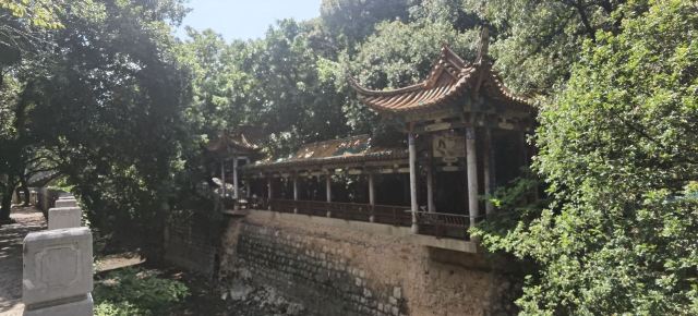 界鱼石公园旅行图片 1