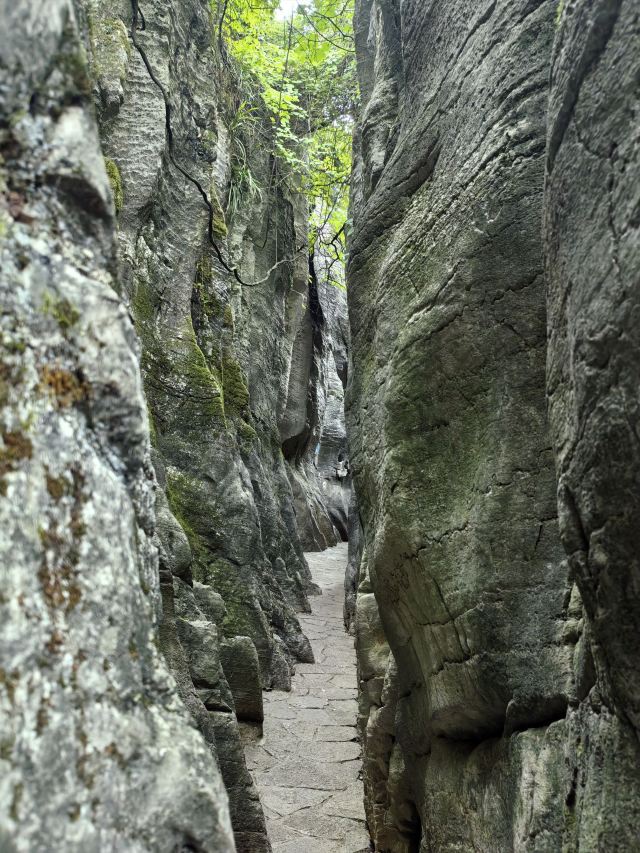 贵阳喀斯特公园旅行图片 1