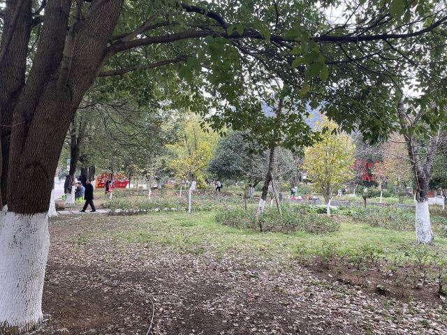 花溪公园旅行图片 1