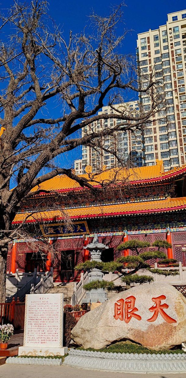 青岛观音寺旅行图片 11