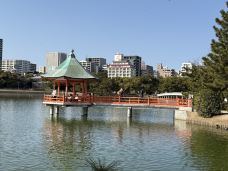 大濠公园-福冈-春天里的柳絮