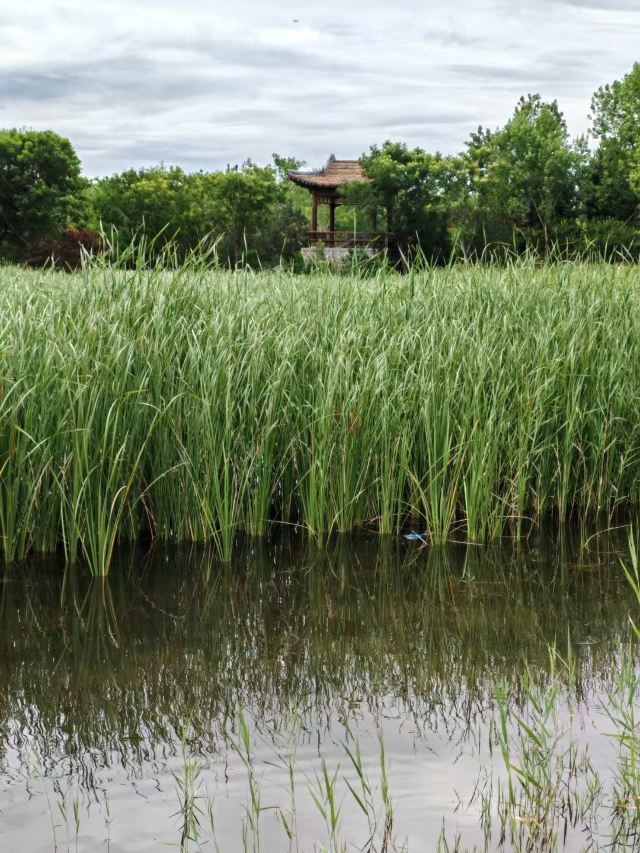 张家湾公园旅行图片 4