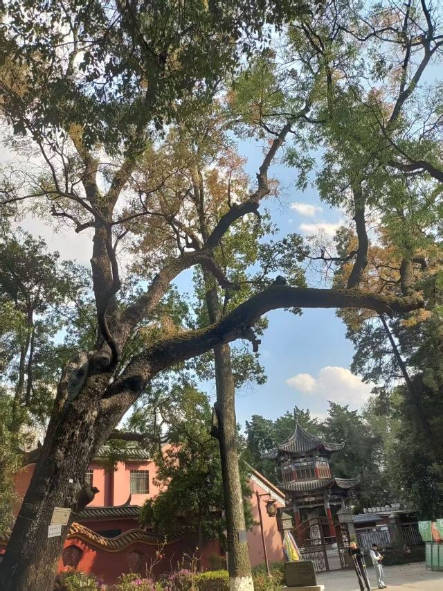 玉溪九龙池古建筑群-九龙宫旅行图片 4