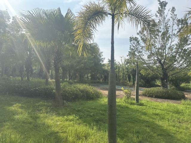 龙谷湾旅游休闲度假区旅行图片 7