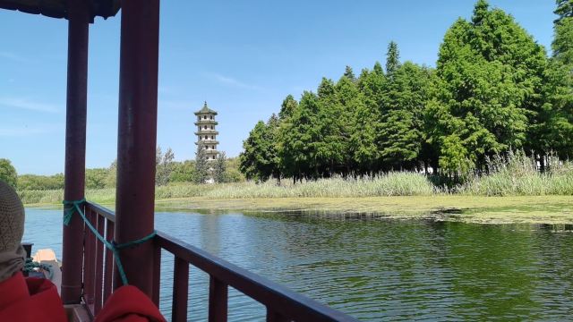 大纵湖旅游度假区旅行图片 6