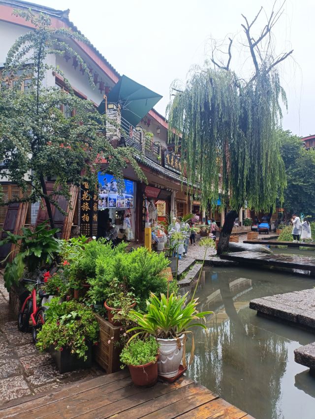 束河古镇旅行图片 3