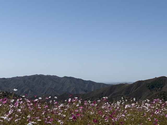 林胡古塞旅行图片 2