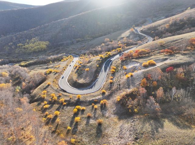 黄岗梁国家森林公园旅行图片 11