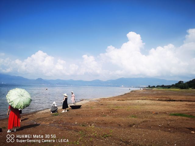 抚仙湖国际度假小镇湖畔森林公园旅行图片 5