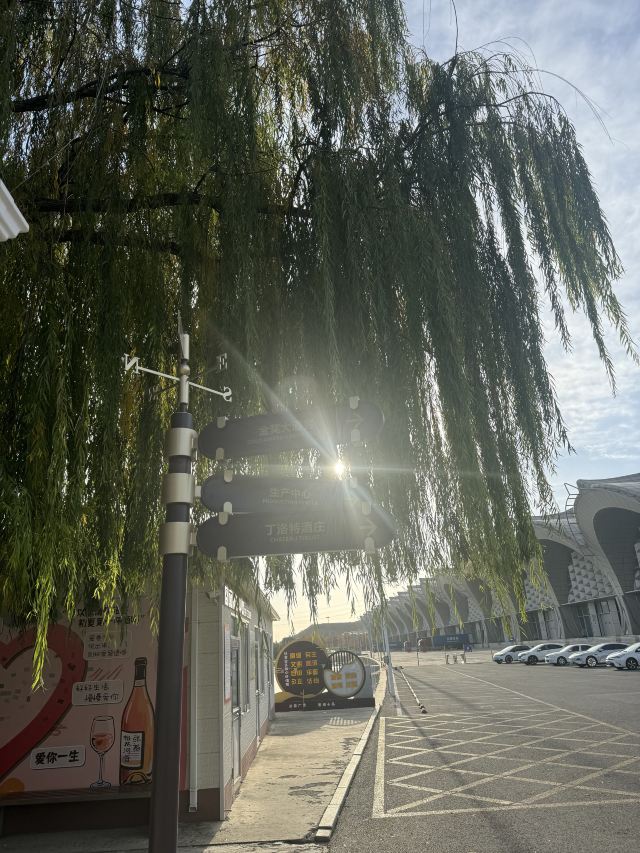 张裕国际葡萄酒城旅行图片 2