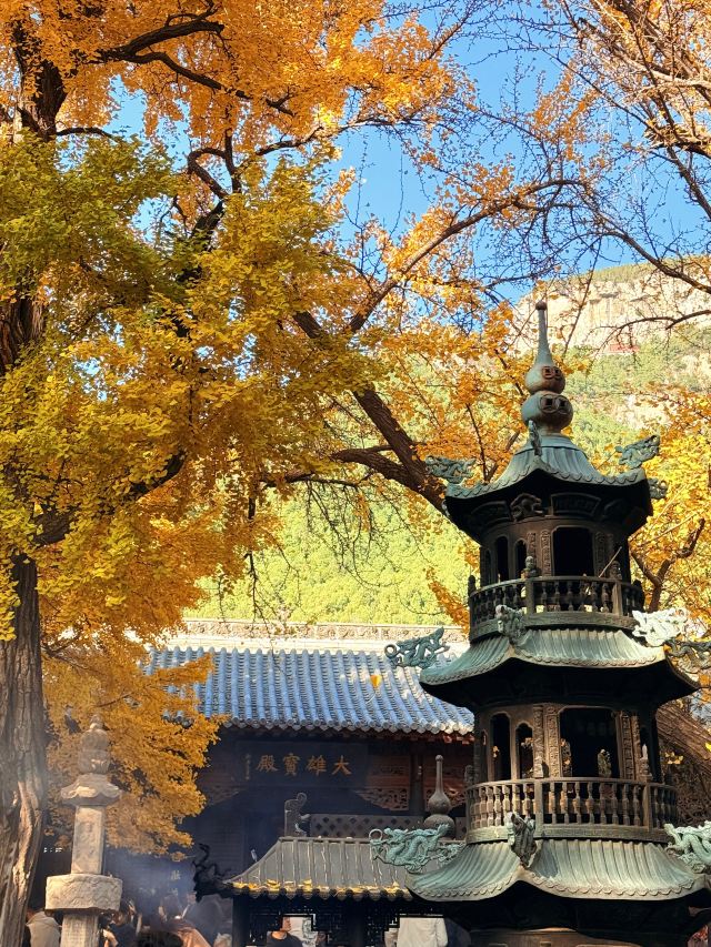 灵岩寺景区旅行图片 3