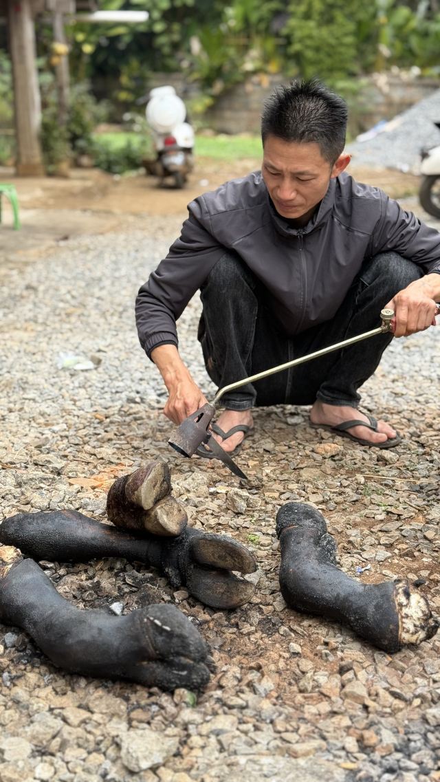 曼远村旅行图片 10