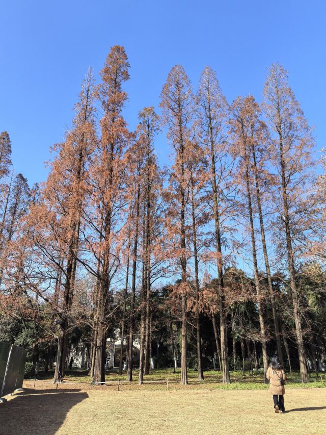 古逍遥津旅行图片 8