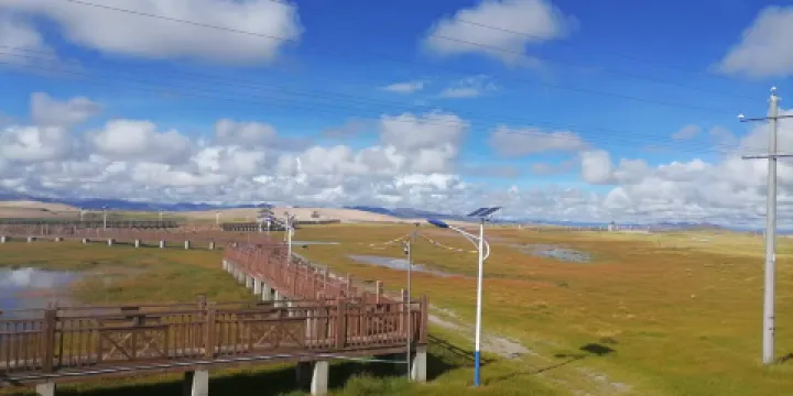 帕羊濕地棧道景區