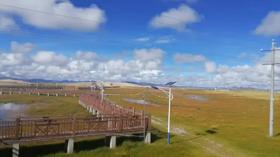 帕羊濕地棧道景區