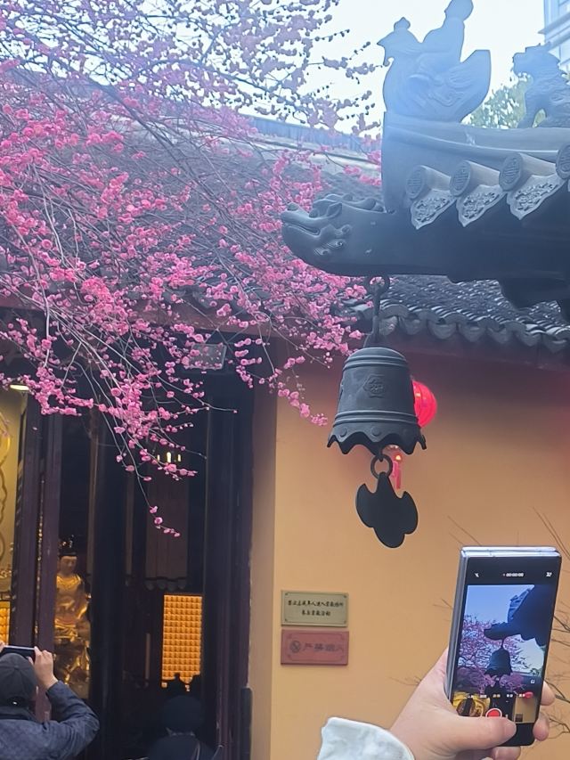 湖州铁佛寺旅行图片 10