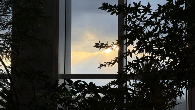 新天地绿地旅行图片 3