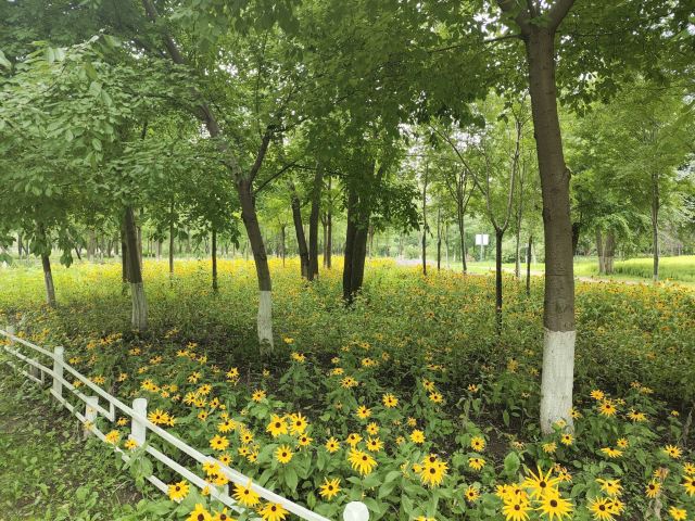 长春市百花园旅行图片 1