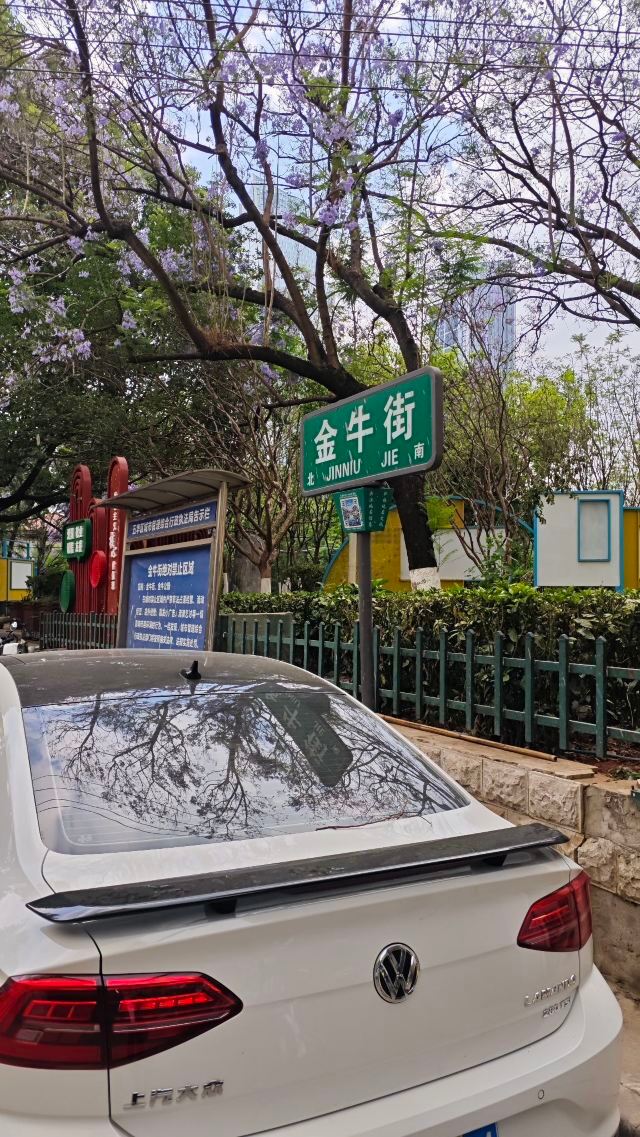 金牛街清真寺旅行图片 7