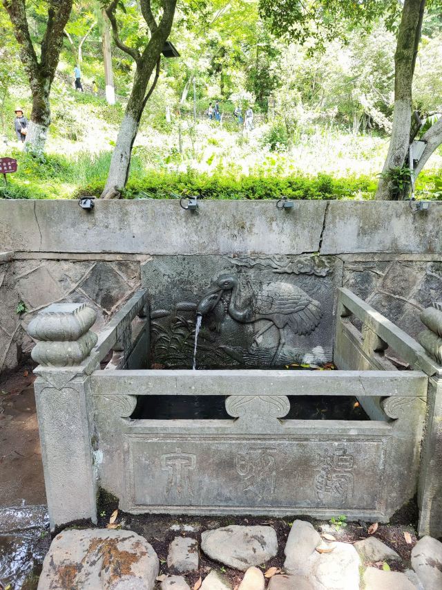 芦花荡公园-园门旅行图片 5